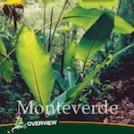 99 Things: Monteverde Travel Guide
